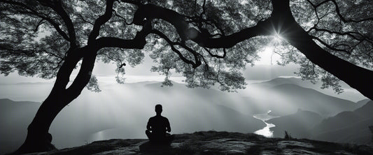 Die Kunst der Meditation - Eine Reise zur inneren Harmonie